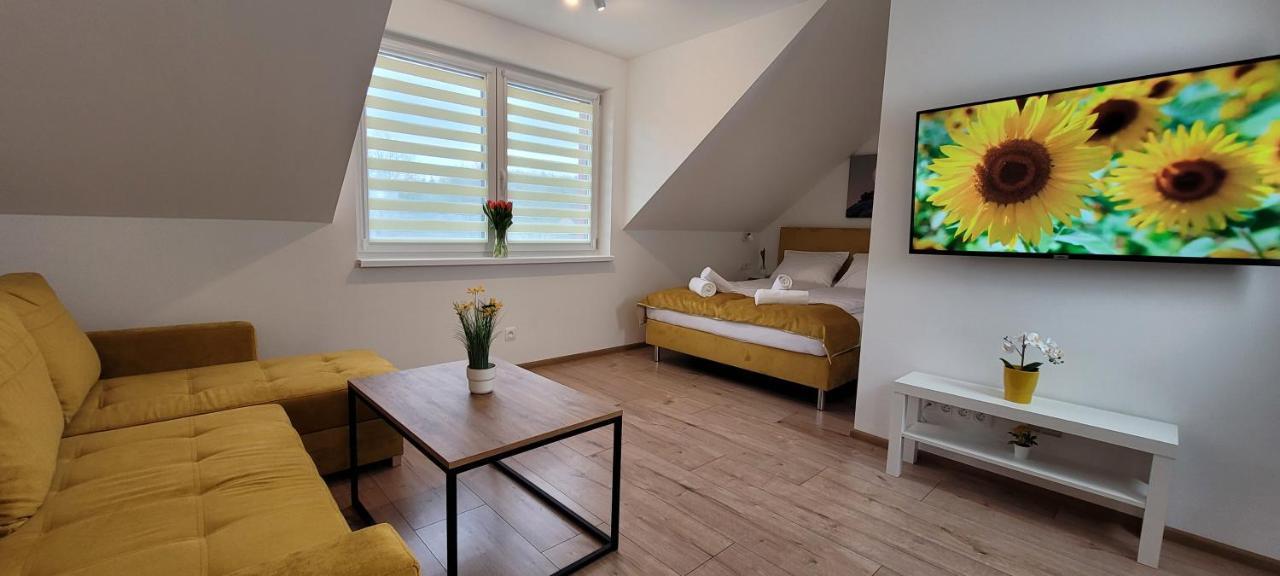 Kolorowe Cieplice - Apartamenty Z Widokiem Na Karkonosze 옐레니아구라 외부 사진